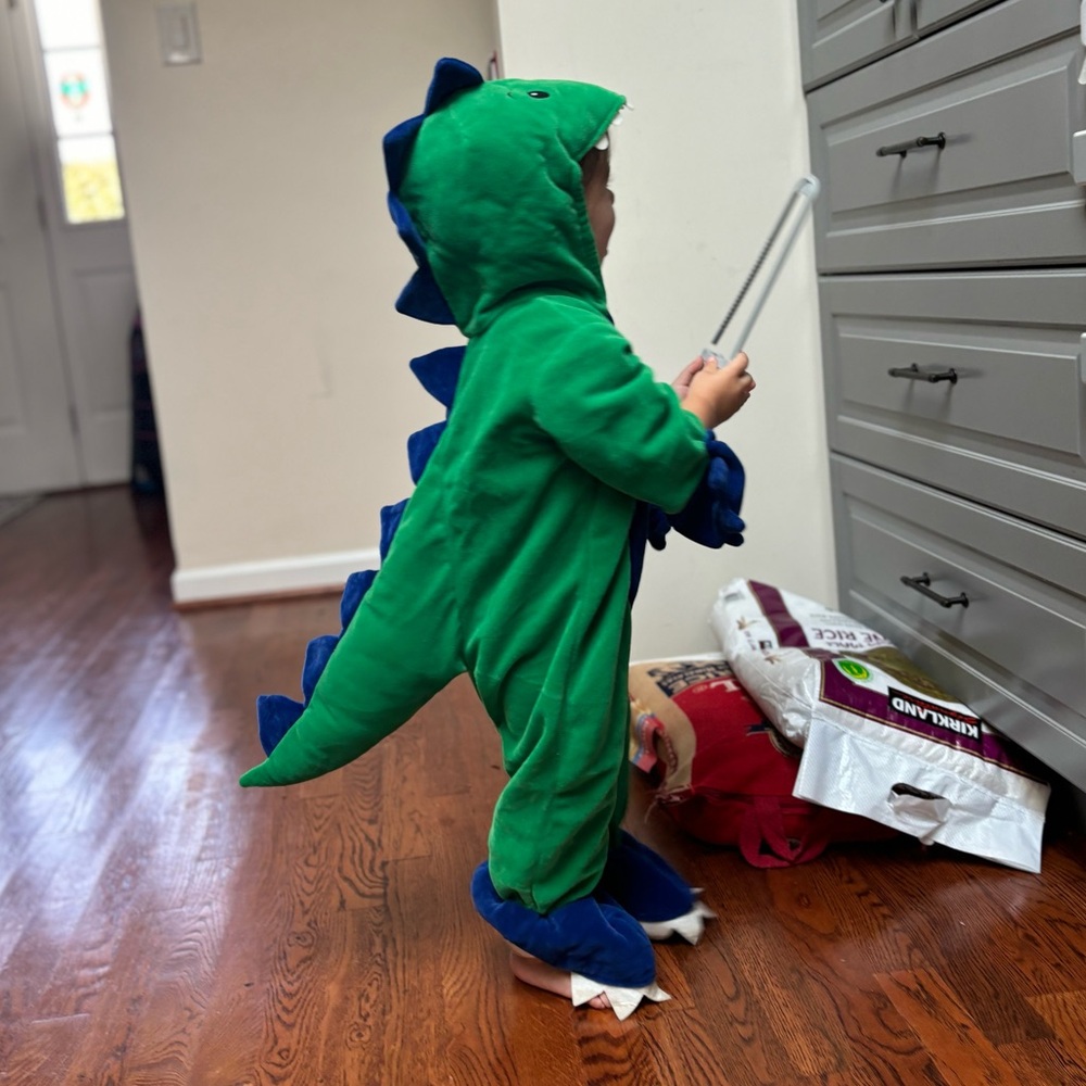 Vintage baby dinosaur costume